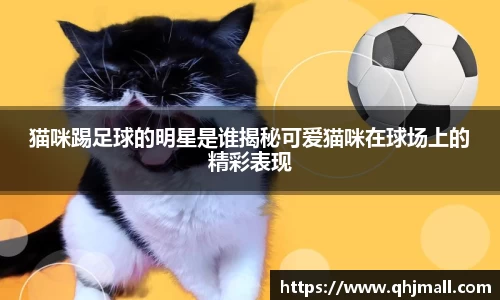 猫咪踢足球的明星是谁揭秘可爱猫咪在球场上的精彩表现